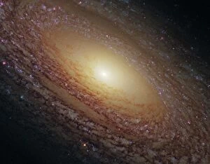 Related Images Collection: Spiral galaxy NGC 2841, HST image