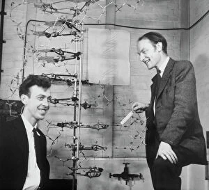 British Library Collection: Watson and Crick with their DNA model