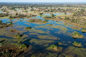 Land Collection: Aerial view of Okavango Delta, Botswana, Africa