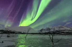 Polar Aurorae Collection: Aurora Borealis on the frozen lagoon of Jaegervatnet, Stortind, Lyngen Alps, Troms
