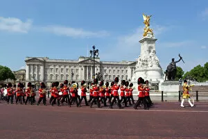 Palace Collection: Band of the Coldstream Guards marching past Buckingham Palace during the rehearsal for Trooping