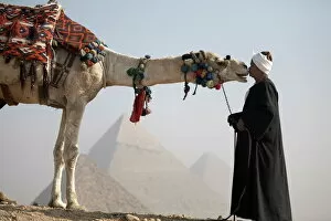 Africa Photo Mug Collection: A Bedouin guide with his camel, overlooking the Pyramids of Giza, UNESCO World Heritage Site