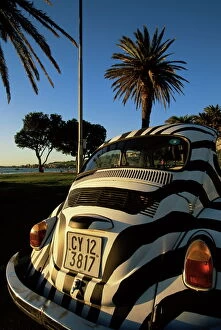 Cape Town Framed Print Collection: Back of a Beetle car painted in zebra stripes