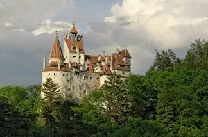 Romania Metal Print Collection: Bran Castle (Draculas Castle), Bran, Transylvania, Romania, Europe
