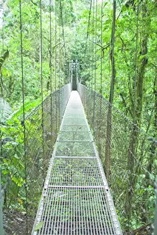 Foot Bridges Collection: Hanging bridge in rainforest, La Fortuna, Arenal, Costa Rica, Central America