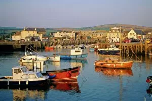 Great Houses Fine Art Print Collection: The harbour, West Bay, Dorset, England, UK