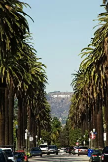 Harding Harding Mouse Mat Collection: Hollywood Hills and The Hollywood sign from a tree