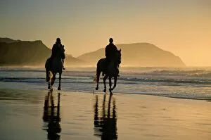 Oceania Collection: Horse riding on the beach at sunrise