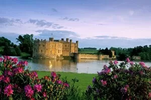 Rhododendron Collection: Leeds Castle, Kent, England, United Kingdom, Europe