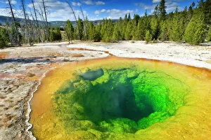 Historical sites Jigsaw Puzzle Collection: Morning Glory Pool and surrounds, Yellowstone National Park, UNESCO World Heritage Site, Wyoming