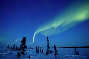 Aurora Borealis Pillow Collection: Northern Light, Aurora Borealis, Churchill, Manitoba, Canada