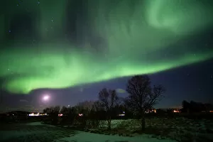 Polar Aurorae Collection: Northern Lights (aurora borealis), Laukvik, Nordland, Norway, Scandinavia, Europe