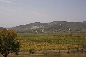 Viticulture Collection: South Valley, Balaclava, site of 1854 battle, now vineyards, Crimea, Ukraine, Europe