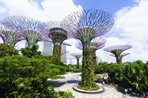 Marina Bay Collection: Supertree Grove in the Gardens by the Bay, a futuristic botanical gardens and park