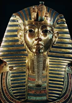 Artifacts Collection: Tutankhamun, Cairo Museum, Egypt, North Africa, Africa