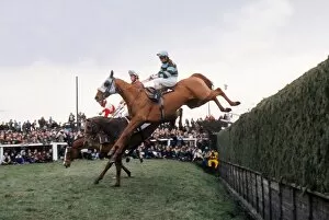 Horse Racing Photographic Print Collection: L Escargot jumps Bechers Brook on the way to winning the 1975 Grand National