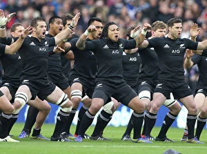 Related Images Collection: Scotland vs New Zealand