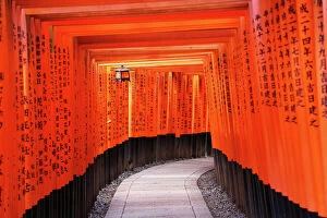 Related Images Fine Art Print Collection: Senbon Torii, tunnels of red torii gates, at Fushimi Inari Shinto shrine in Kyoto, Japan