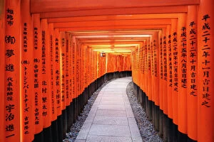 Kyoto Metal Print Collection: Senbon tunnel of Torii gates, Fushimi Inari shrine, Kyoto, Japan
