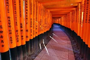 Kyoto Poster Print Collection: Tunnel of red torii gates, Fushimi Inari shrine, Kyoto, Japan