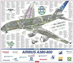 Asia Pillow Collection: Airbus A380-800 Cutaway Poster