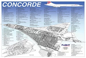 Cutaway Posters Photographic Print Collection: BAe Concorde Cutaway Poster