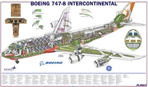 Boeing Jigsaw Puzzle Collection: Boeing 747-8 Cutaway