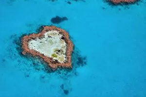 Queens Land Collection: An aerial view of Heart Reef
