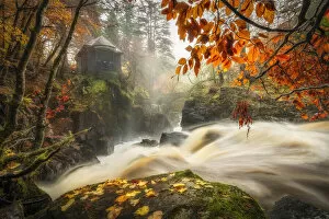 Guy Edwardes Collection: Black Lin Falls in autumn, The Hermitage, Dunkeld, Perthshire, Scotland, UK