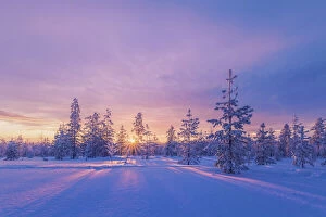 Wilderness-inspired art Fine Art Print Collection: Europe, Lapland, Finland: sunset on the woods in Rovaniemi area