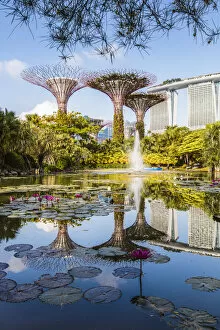 Nature art Jigsaw Puzzle Collection: The famous Supertree grove at Gardens by the Bay, Singapore