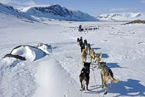 Adventurer Collection: Norway, Troms, Lyngen Alps