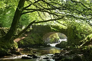 Scenic landscapes Metal Print Collection: Picturesque Robbers Bridge near Oare, Exmoor, Somerset, England. Spring (May)