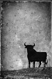 Abstract art Poster Print Collection: Spain, Andalucia, Cadiz Province, Jerez de la Frontera, El Cuadrejon, an Osborne Bull
