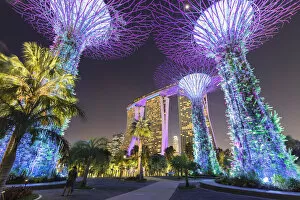 Capital Citiy Collection: Supertrees and Marina Bay Sands, Gardens by the Bay, Singapore City, Singapore