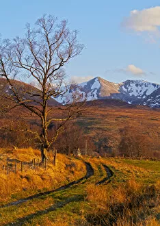 Countryside artworks Photographic Print Collection: UK, Scotland, Highlands, Roy Bridge, View towards Stob Ban and the Grey Corries