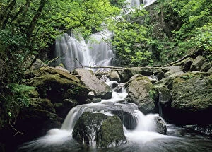 Waterfall art Collection: Torc Waterfall Killarney Co Kerry Ireland spring