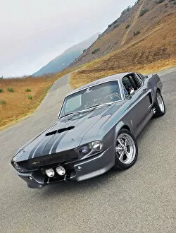 Aggressive Collection: Shelby Mustang GT500E Eleanor