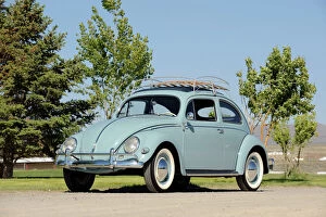 Related Images Poster Print Collection: Volkswagen VW Beetle