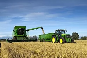 Trailer Collection: John Deere combine harvester, harvesting Barley (Hordeum vulgare) crop