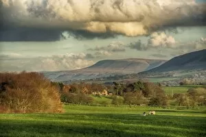 Countryside artwork Poster Print Collection: View across farmland towards distant fells, looking towards Pendle Hill, Clitheroe