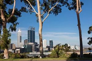 Cities Collection: Australia, Western Australia, Perth, city skyline from Kings Park, late afternoon