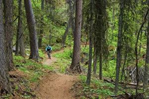 Mountain Bike Collection: Jared Lynch mountain biking the north end of the Whitefish Trail near Whitefish, Montana
