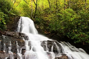 Nature-inspired paintings Poster Print Collection: Tennessee, Great Smoky Mountains National Park, Laurel Falls