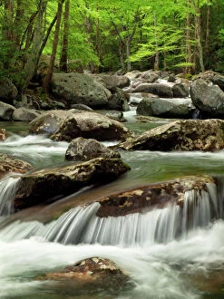 Motion Collection: USA, Tennessee, Great Smoky Mountains National Park, Little Pigeon River at Greenbrier