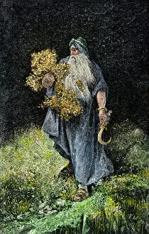 Forest artwork Poster Print Collection: Druid carrying mistletoe