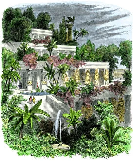 6 Dec 2011 Metal Print Collection: Hanging gardens of Babylon