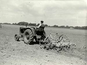 Littlehampton Mouse Mat Collection: Littlehampton Agricultural Picture - about 1938