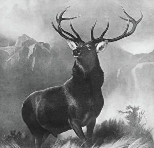 Fine Art Mouse Mat Collection: LANDSEER: STAG, 1851. Monarch of the Glen. After the painting by Edwin Landseer, 1851