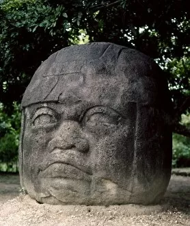 Giant Collection: MEXICO: OLMEC HEAD. Olmec colossal head number 2, at Parque La Venta, Tabasco, Mexico, 800-200 B. C